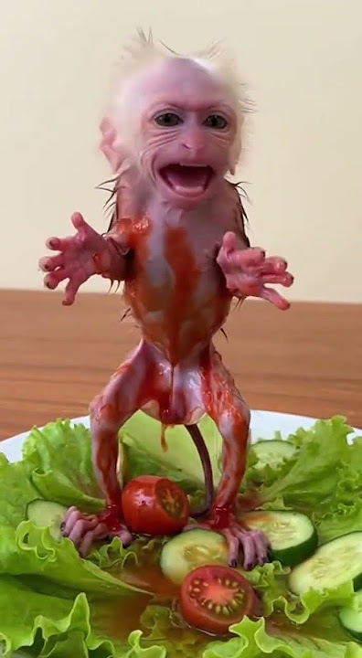 user 6ReTgx5C3rC4trov2Dbtrw6W gen 01kbmn7ps7e2f8h0dp8p3xwbcj