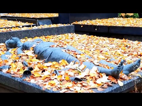Троекуровское Кладбище Могилы