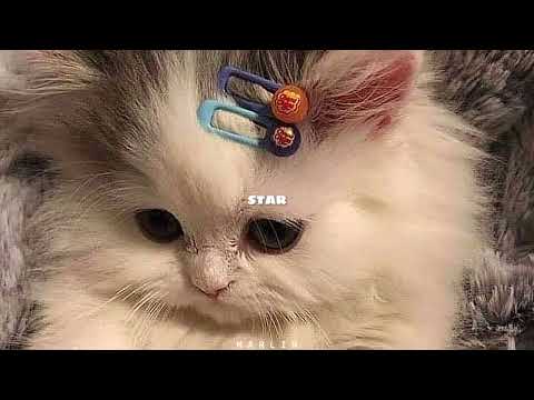 Heize - Star // (Sped Up) #fyp #trending #speed #tiktok