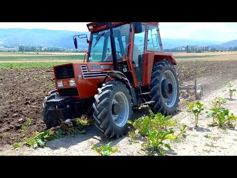 Amasya MERZİFON Eymir köyü Tümosan 8065 tmr 2022 model Alpler 4 lü 12 numara pullukla tarla denemesi