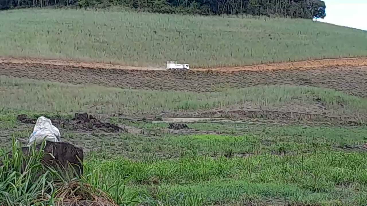 @EKS#CriadorDeConteúdos #caminhãodoÓleodesel.