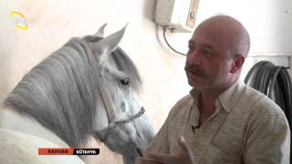 RAHVAN 4. BÖLÜM KÜTAHYA