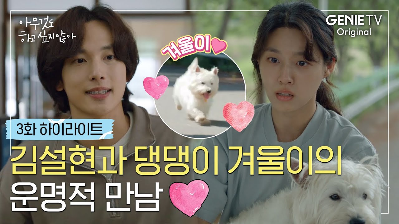 [3화 하이라이트] 김설현과 댕댕이 겨울이의 운명적 만남❤ | 아무것도 하고 싶지 않아