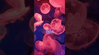 Как быстро расслабиться перед сном