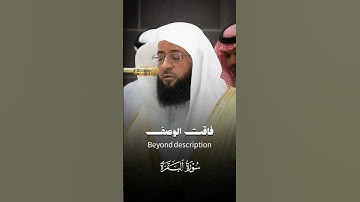 تلاوة حجازية أيوبية من #سورة_البقرة | #بدر_التركي