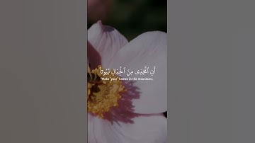 تلاوة خاشعة من سورة النحل بأسلوب فريد يبعث الطمأنينة | بصوت الشيخ عبدالباسط عبدالصمد