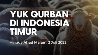 Yuk Ikut Qurban di Indonesia Timur Hanya 2 Juta Rupiah, Hari Ini Terakhir