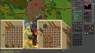 Celebrity Tibia Amera - Rambo Sangriento 167 RP Profile