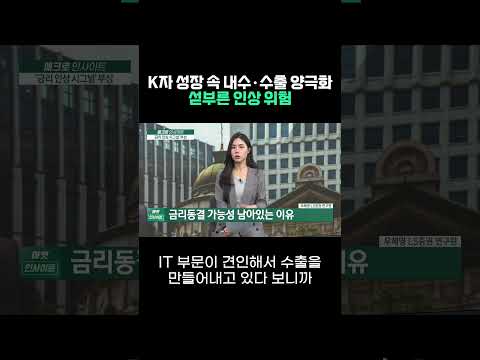 K자 성장 속 내수·수출 양극화, 섣부른 인상 위험ㅣ우혜영 LS증권 연구원