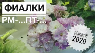 Выставка 