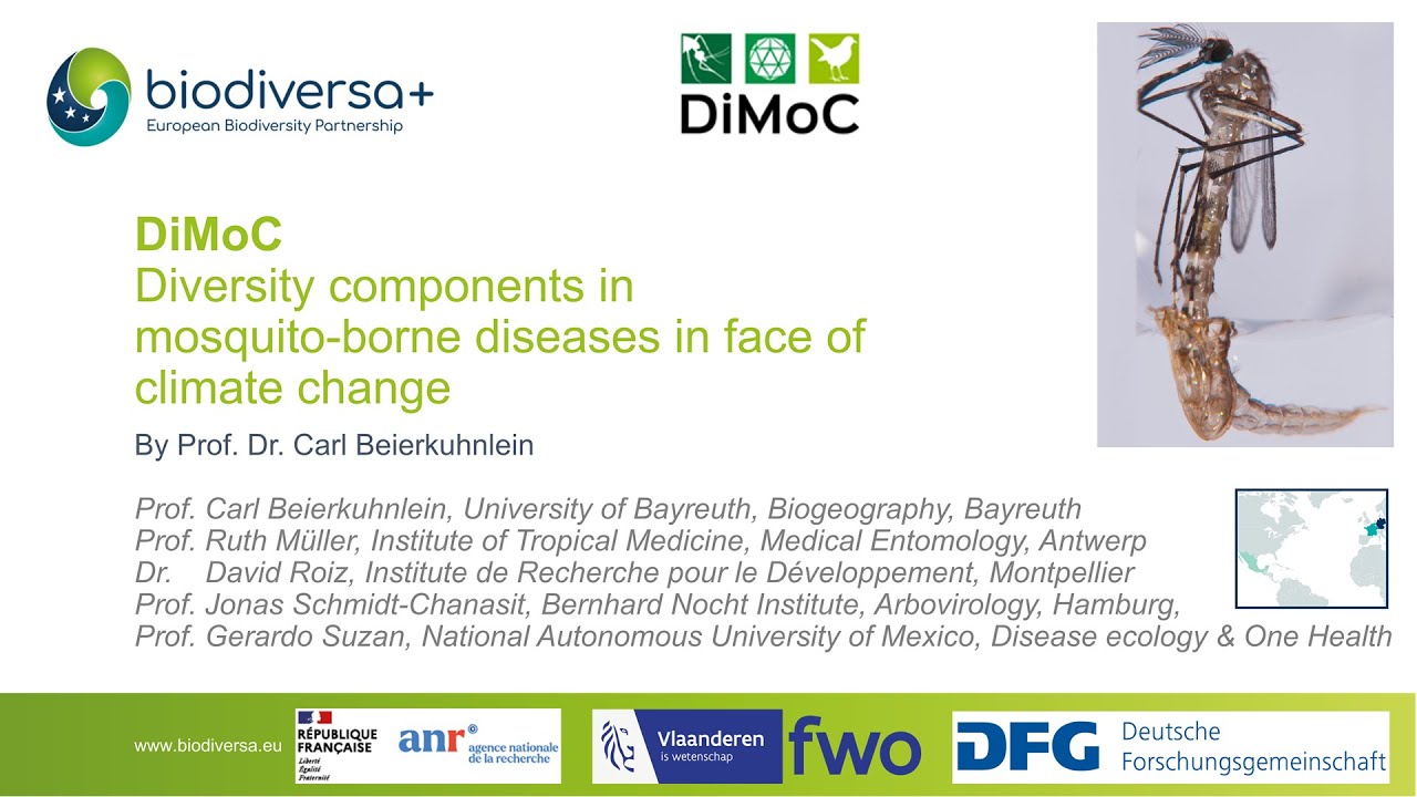 DiMoC Project Presentation