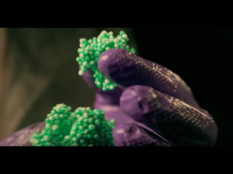 ASMR So Good It Tingles