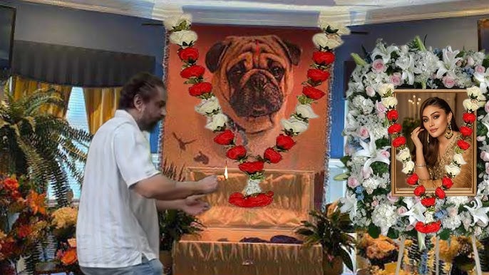 Omg Simba 😭 Parag Tyagi weeping in front of Shefali Jariwala and Dog's  Photo after they Passed Away