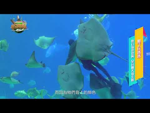【南台灣墾丁推薦】國立海洋生物博物館/全台灣規模最大/珊瑚/海底隧道/企鵝/小白鯨/鯊魚/張克帆X徐瑋婷