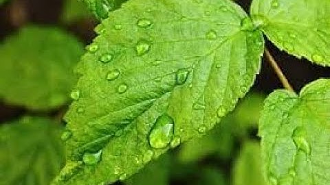 primary 4  unit 1 lesson 1 part 2/2 Matter states and changes