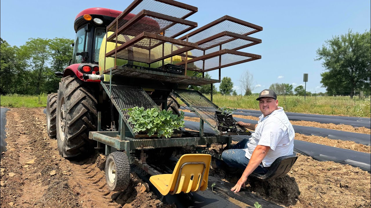 Tomatoes, Planting Watermelon and Okra!