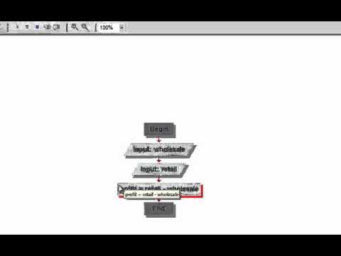 Module 2 Flowcharting Assignment Demo - YouTube
