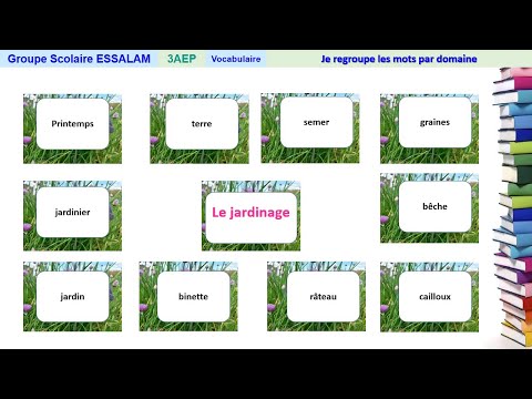 Vidéo: Qu'est-ce qu'un mot de vocabulaire spécifique à un domaine ?