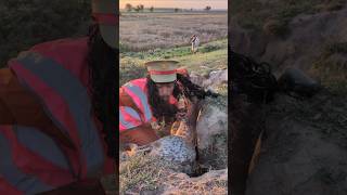 Prisoner Thief The Sheep