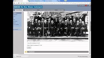 Hot Spot Question Type In Blackboard