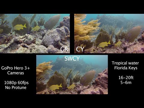srp-gr-vs-cy-vs-swcy-underwater-filter-comparison---gopro-tip-#306-|-micbergsma