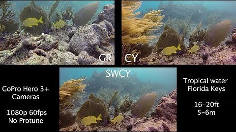 SRP GR vs CY vs SWCY Underwater Filter Comparison - GoPro Tip #306 | MicBergsma