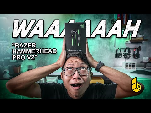 Review Razer Hammerhead Pro V2! Earphone Gaming Teman Main PUBG