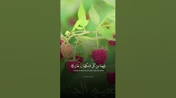 تلاوات خاشعة ( فيهما عينان تجريان ) ياسر الدوسري