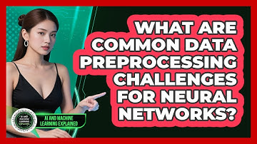 What Are Common Data Preprocessing Challenges For Neural Networks?