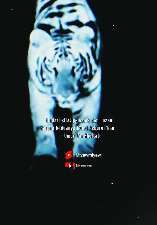 story wa macan putih ll semangat #shorts #status #attitudestatus #motivation