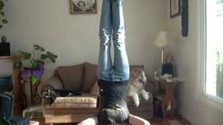 Headstand