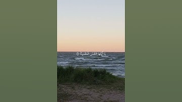 القارئ ياسر الدوسري [سورة الفجر] #قرآن #ياسر_الدوسري #سورة_الفجر