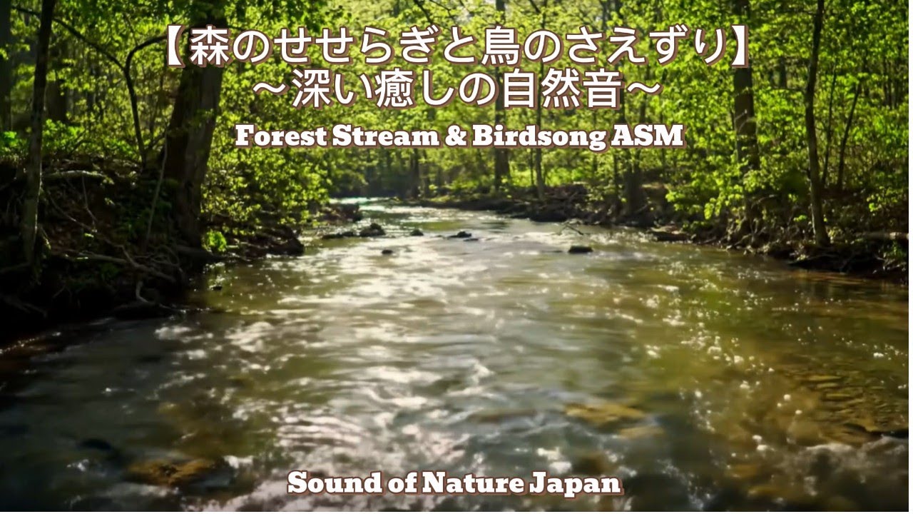 【2時間 森のせせらぎと鳥のさえずり】深い癒しの自然音|Forest Stream & Birdsong ASMR|Sound of ...