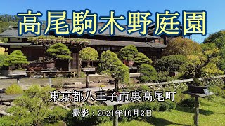 高尾駒木野庭園 = 盆栽と錦鯉 = [4K] Takao Komagino Garden = Bonsai and Nishikigoi =