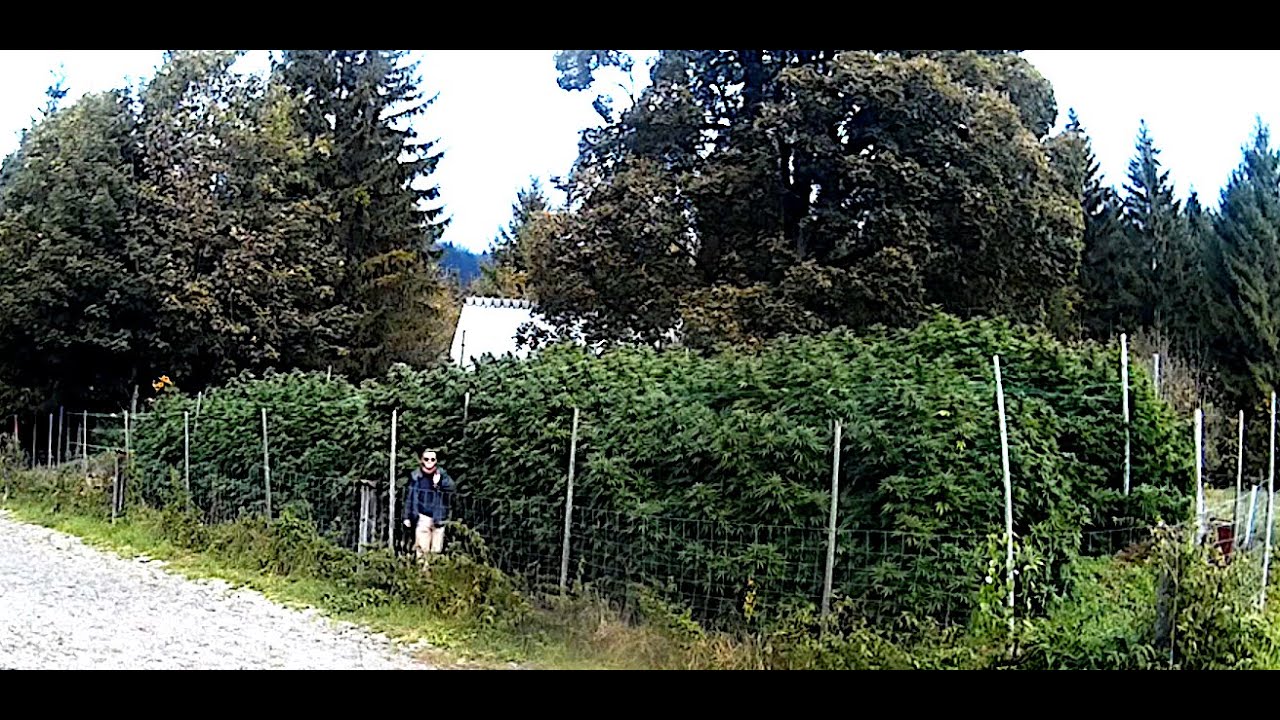 5. Oktober 2024 02 @NaturgartenEuring-Bachwinkl