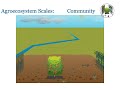 Agroecosystem