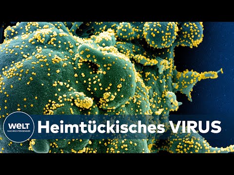 Video: Het Belangrijkste Van Het Nieuwe Coronavirus En De COVID-19-pandemie. Wat Kunt U Doen En Wat Kunt U Verwachten? - Alternatieve Mening