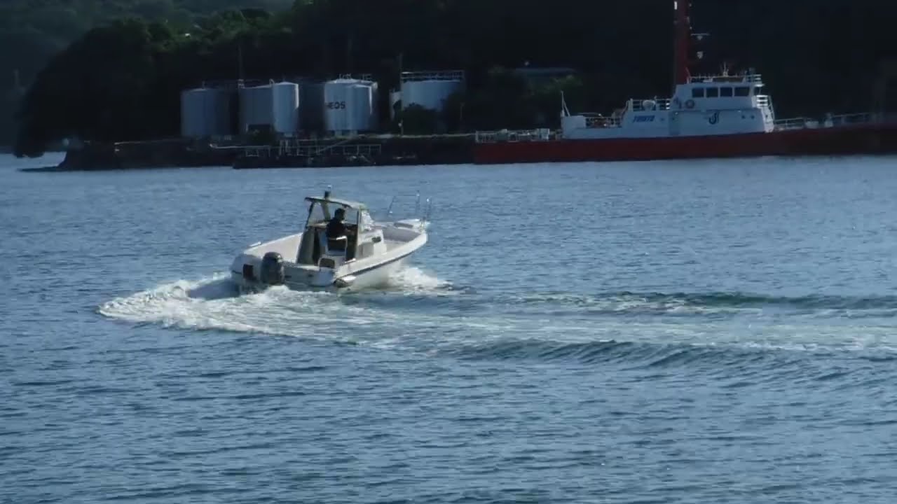 トーハツ TF-225 | 船ネット