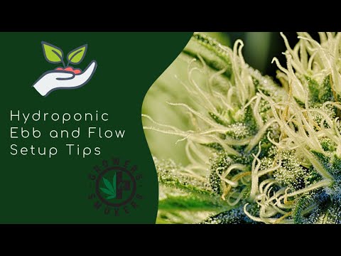 Hydroponic Ebb and Flow setup tips for a 5 by 5 climate grow room