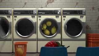 Node Ident 2019 | Pat Lloyd