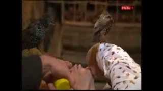 BBC Autumnwatch Unsprung 2013 - Episode 1 (Part 1)