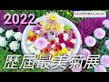 2022士林官邸菊展|菊耀20|今年是歷屆最美|二十週年|展期2022/11/25-12/11|Taipei Chrysanthemum Festival @ CKS Shilin Residence