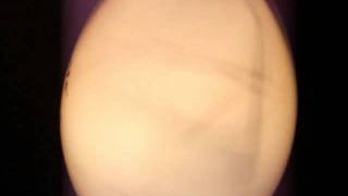 Starting My 160W Self-Ballasted Mercury Vapor Lamp