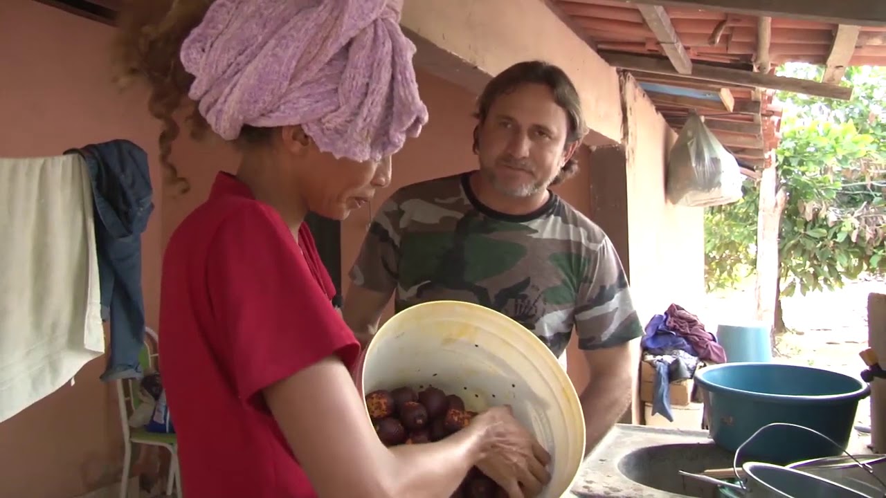 Balsas Rural e a colheita do Buriti