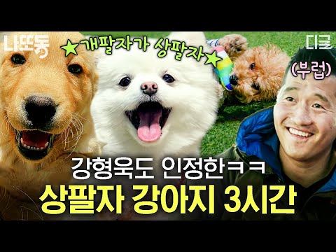 [#고독한훈련사] (3시간) 우리 집 강아지 눈 감아..😔 강형욱도 부러워하는 삶을 사는 반려견🐶 여기가 바로 개토피아 | #나중에또볼동영상