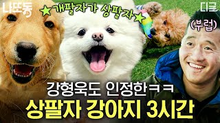 [#고독한훈련사] (3시간) 우리 집 강아지 눈 감아..😔 강형욱도 부러워하는 삶을 사는 반려견🐶 여기가 바로 개토피아 | #나중에또볼동영상