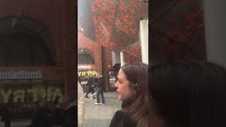 The Truth Behind Your Milk