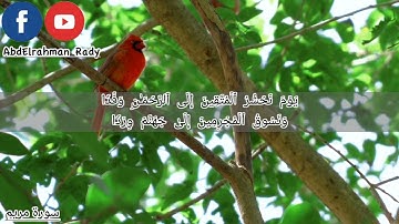 وَقَالُوا۟ ٱتَّخَذَ ٱلرَّحۡمَـٰنُ وَلَدࣰا | سورة مريم