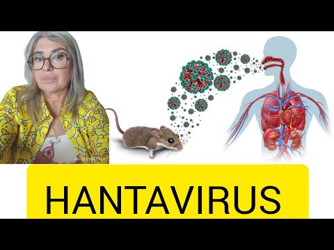 Hantavirus: what they haven't told you