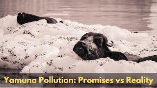 Yamuna River Pollution | Promises vs Reality | Yamuna river foam | Yamuna clean up | The Probe
